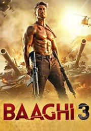 Baaghi 3